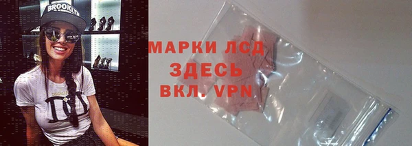 трава Арсеньев