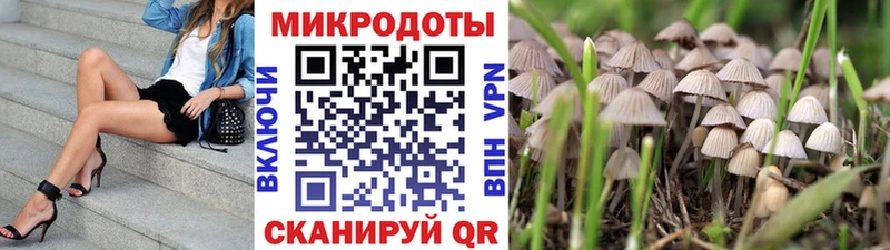 цены   Багратионовск  Псилоцибиновые грибы MAGIC MUSHROOMS 